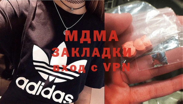 индика Алексин