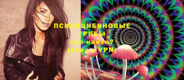 дмт Алексеевка