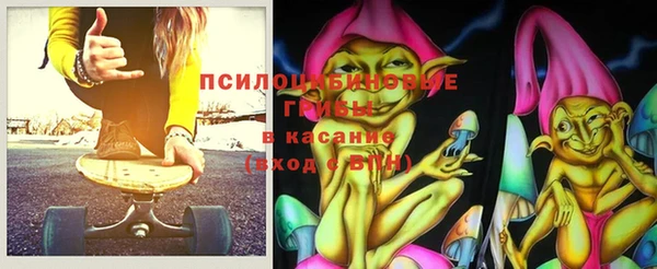 шишки Абдулино