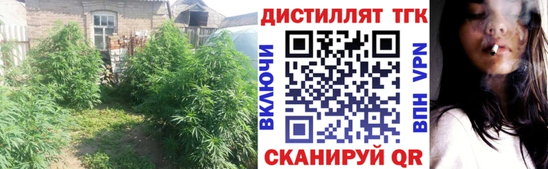 маркетплейс формула  Димитровград  ТГК концентрат 
