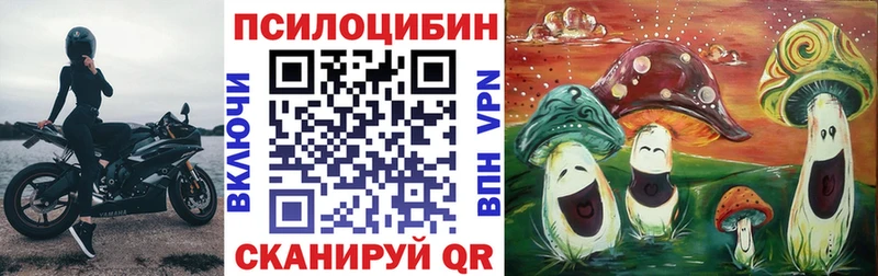 где купить наркоту  Димитровград  Псилоцибиновые грибы прущие грибы 