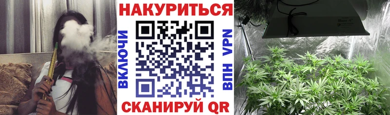 закладка  Димитровград  Бошки марихуана Ganja 